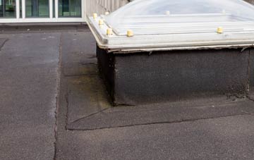 disadvantages of Cleadon Park flat roofs